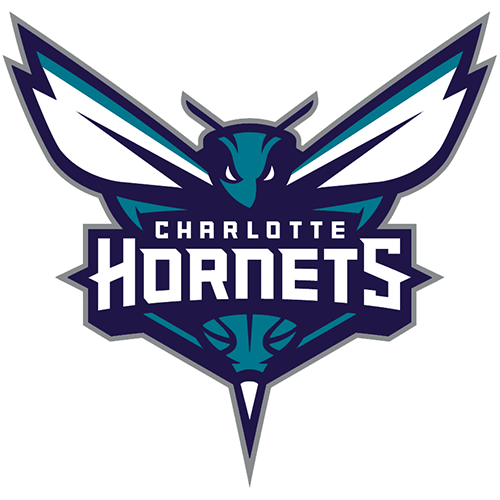 (image for) Charlotte Hornets 2014-Pres Primary Logo iron on heat transfer